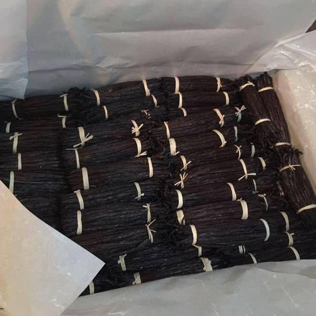 JL Gourmet Imports vanilla beans in hand, ready to split for homemade extract.