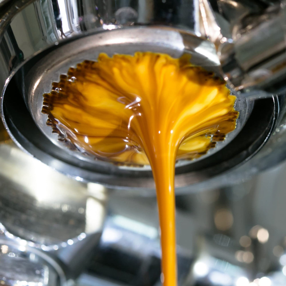 Jo Coffee rich crema close-up showcases heavy dark chocolate notes and finish.