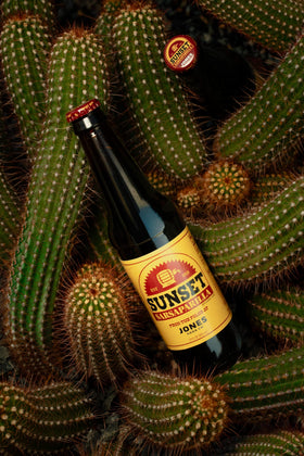Jones Soda Fallout Sunset Sarsaparilla bottle label with fan art, AR video teaser.