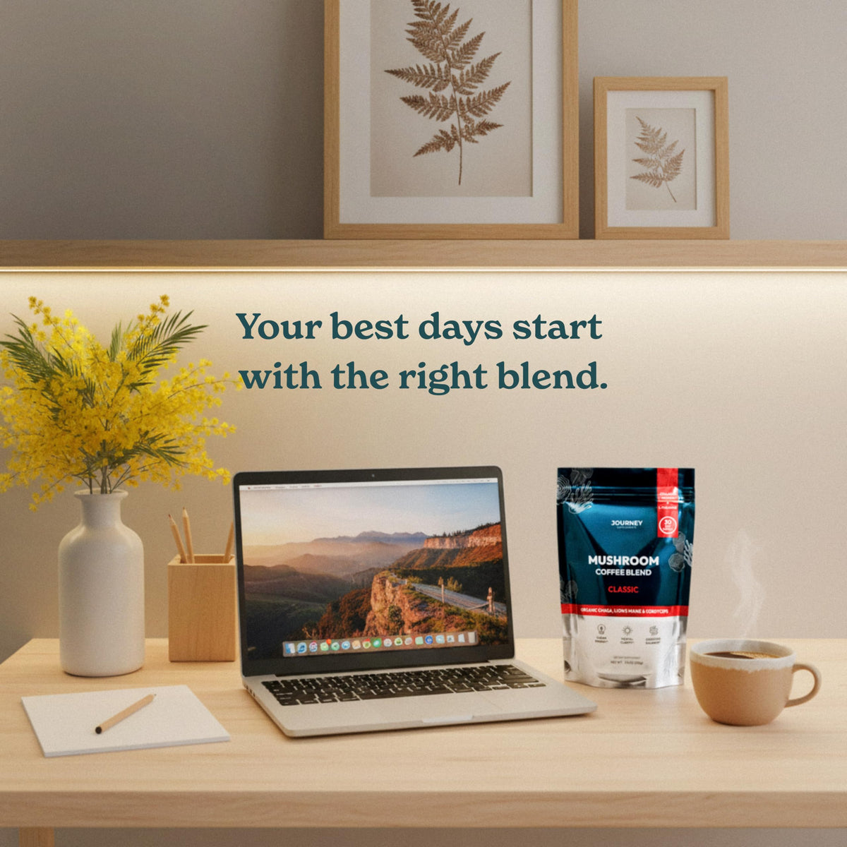 Journey Supplements Mushroom Coffee classic cup with ready-to-drink feel and balanced energy