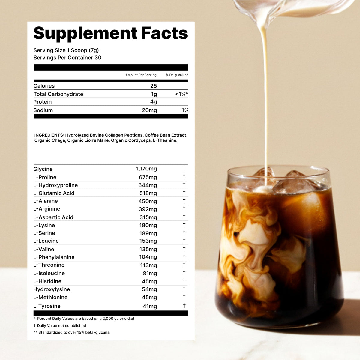 Journey Supplements organic Chaga Lion's Mane Cordyceps blend highlighting cognitive clarity