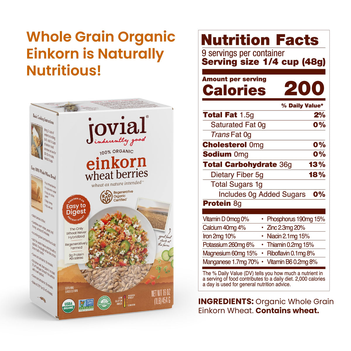 Jovial Einkorn berries cooked bowl ready for breakfast or meals.