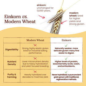 Jovial Einkorn flour pancakes stacked with golden edges.