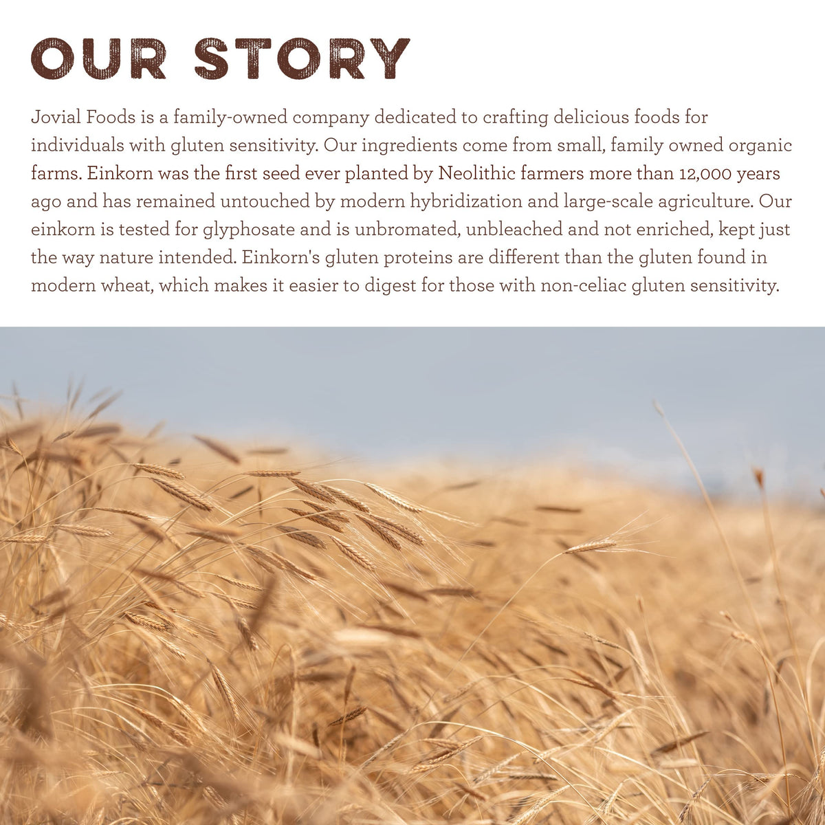 Jovial Einkorn flour used in sourdough bread for nutty, flavorful loaves