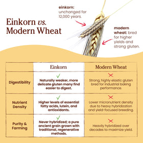 Jovial Einkorn Pancake Mix Italian-made product emphasizing biodiversity farming.