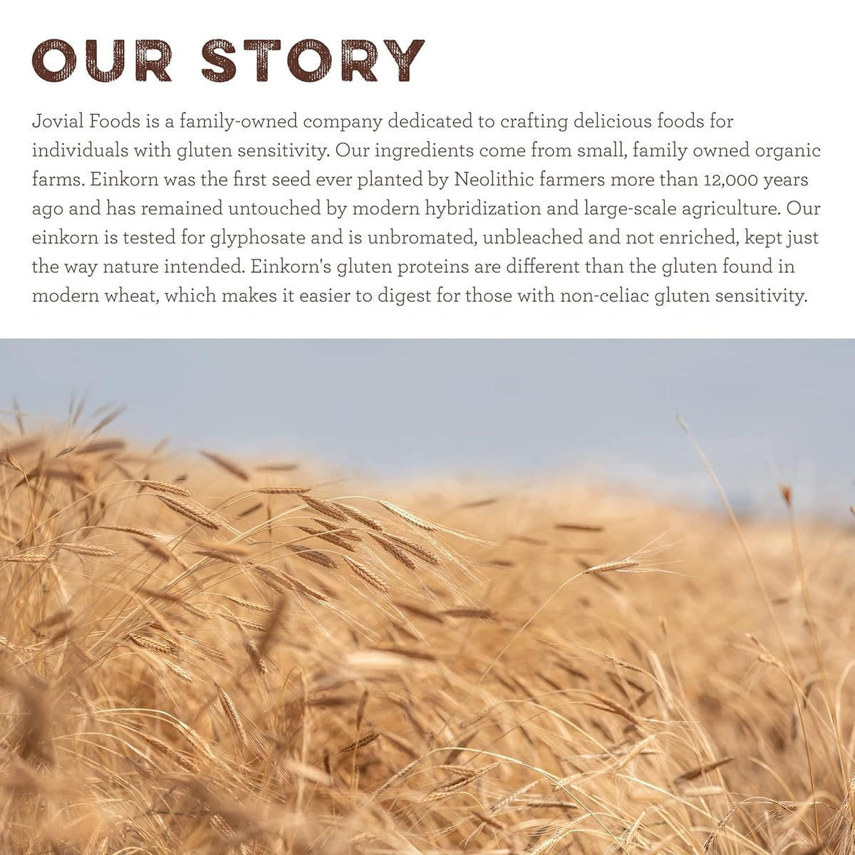 Jovial Einkorn Spaghetti kitchen-ready idea for quick wholesome meals