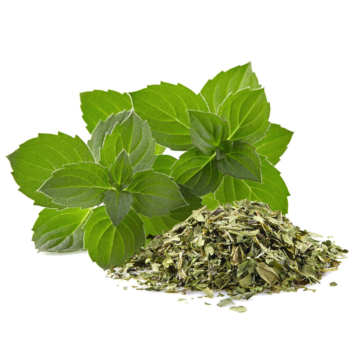 Jovvily Peppermint Leaf cup during steeping captures a refreshing scent.