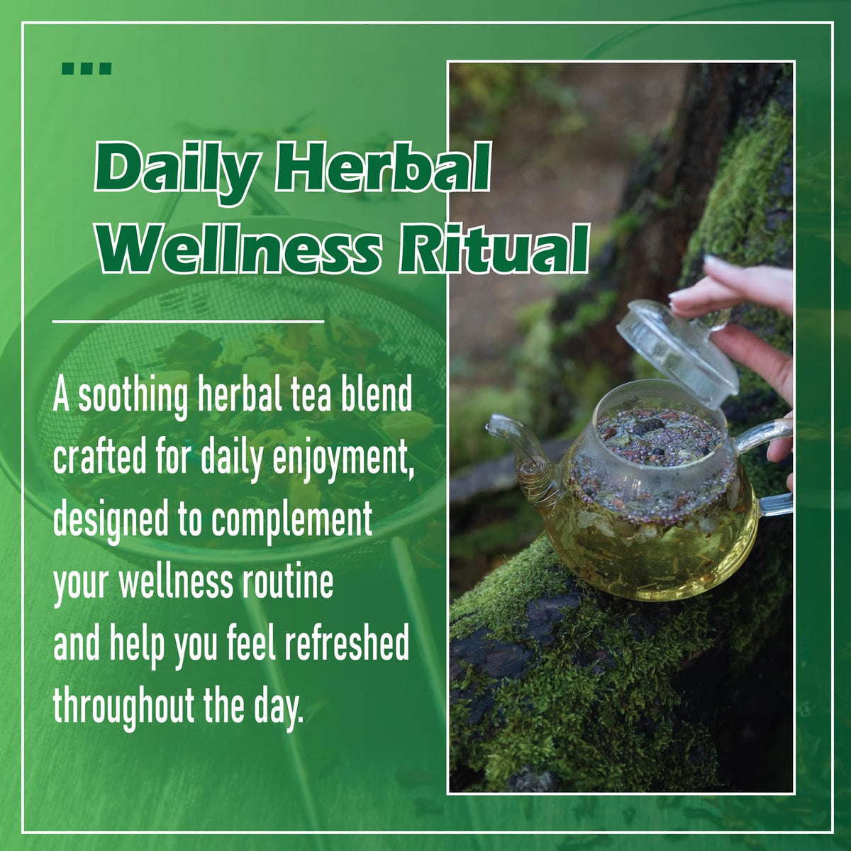JRR Blood Detox Tea Jamaica flagweed and herbs in bloom for daily wellness ritual