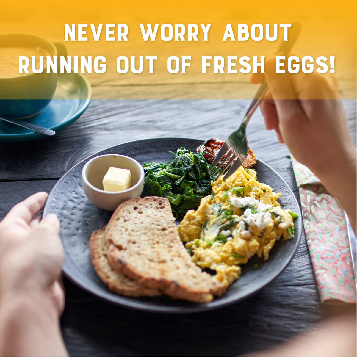 Sealed pouch of Judee's Gluten Free Dried Whole Egg Powder emphasizes freshness.