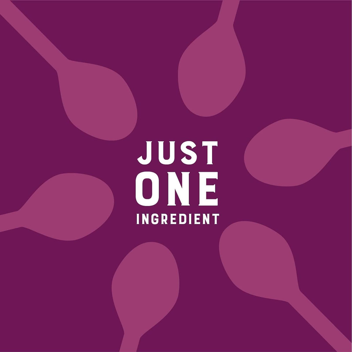 Gluten-free facility seal indicating allergen-conscious production by Judee’s.