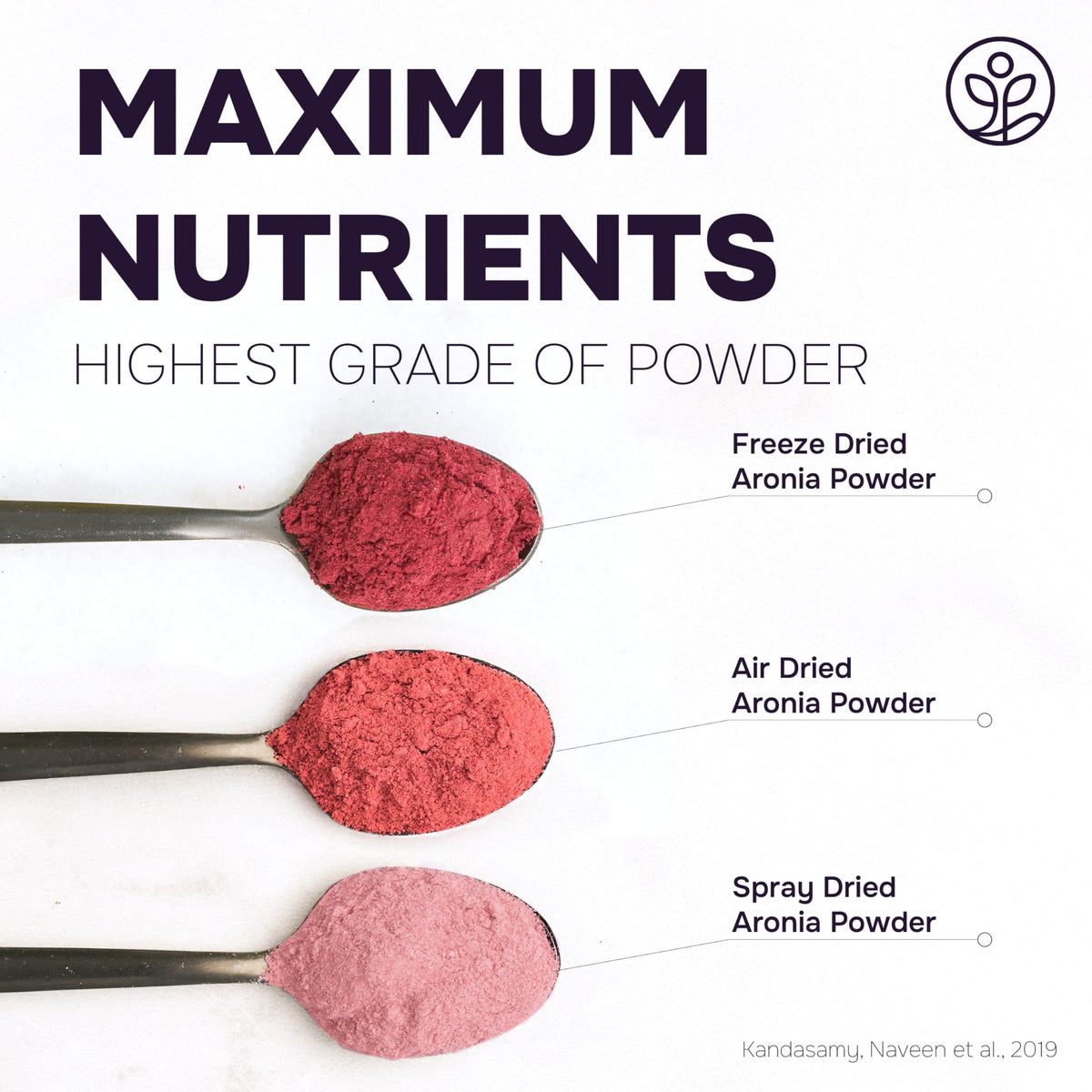 Jungle Powders aronia powder in a smoothie adding color and nutrients.