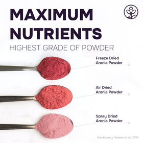 Jungle Powders aronia powder in a smoothie adding color and nutrients.