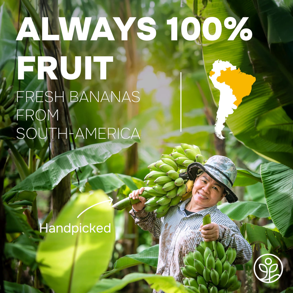 Close-up of 5 oz bag of freeze-dried banana powder highlighting whole fruit content for nutrient-rich smoothies.