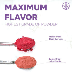 Jungle Powders Black Currant Powder scoop in bottle for easy use.