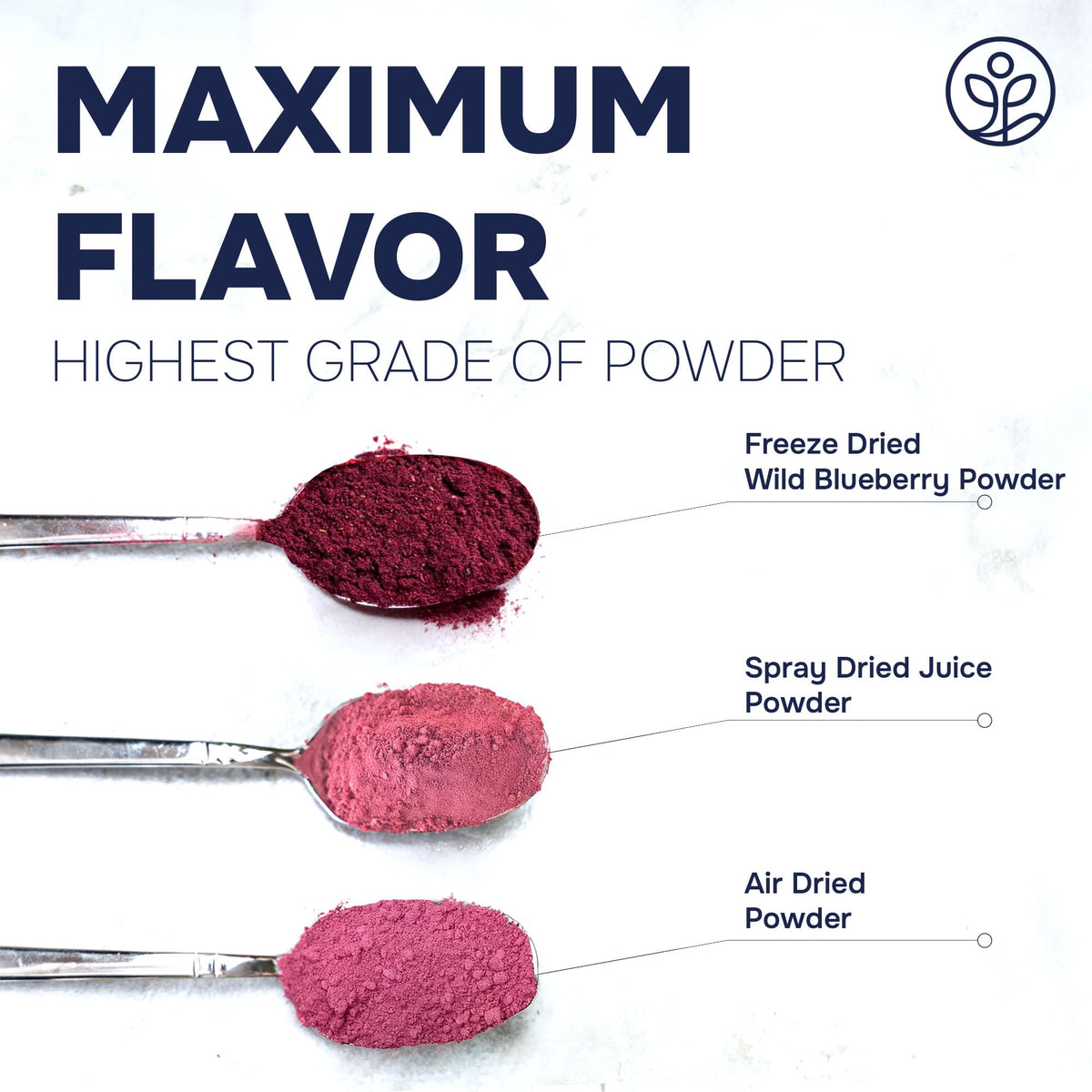 Jungle Powders Easy to Use Blueberry Powder blends into recipes without dissolving in water