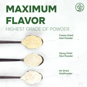 Jungle Powders Kiwi Powder porridge bowl for a fruity breakfast.