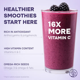 Jungle Powders Organic Blackberry Powder stored in a resealable jar