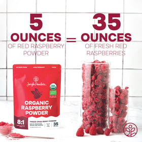 Jungle Powders raspberry powder scoop resting on bowl, boosts flavor in baking.