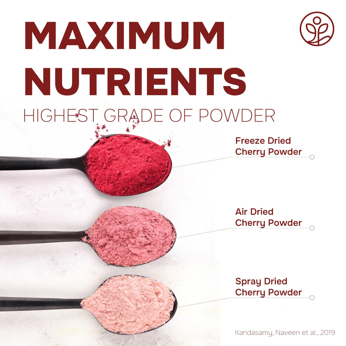 Pouring Jungle Powders tart cherry powder into a smoothie