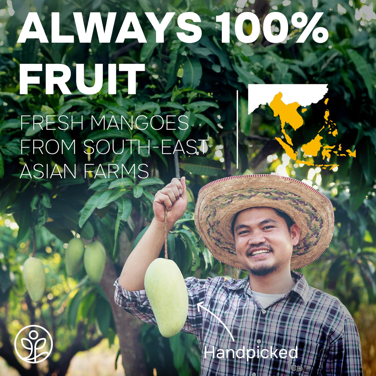 Jungle Powders whole-fruit mango powder for authentic mango aroma and nutrition.