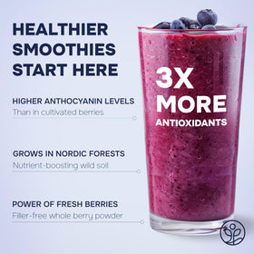 Jungle Powders Wild Blueberry Powder smoothie with deep color and aroma
