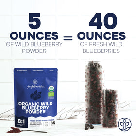 Jungle Powders Wild Blueberry Powder stirred into yogurt for color and flavor