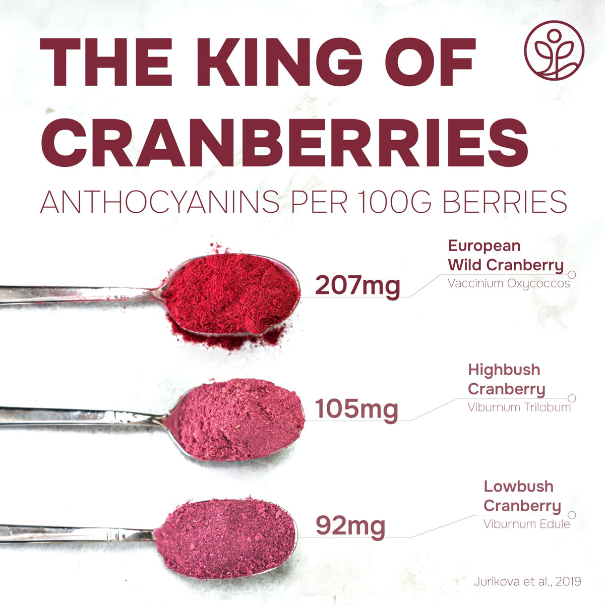 Jungle Powders Wild Cranberry Powder baking-uses shows tart depth in desserts.