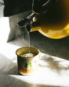 Juniper Ridge Douglas Fir Spring Tip tea steeping ritual, mindful brewing