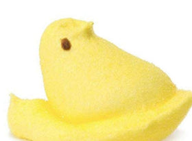 Just Born Peeps Yellow Chicks gifting idea for celebrations.