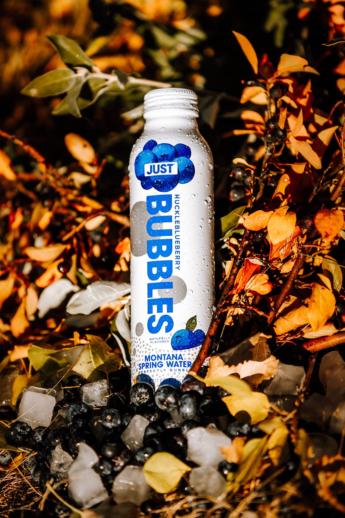 JUST Water Bubbles Huckleblueberry close-up minerals reveals natural mineral content from springs
