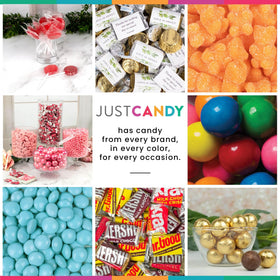 Just Candy kosher gluten-free jelly beans for parties.
