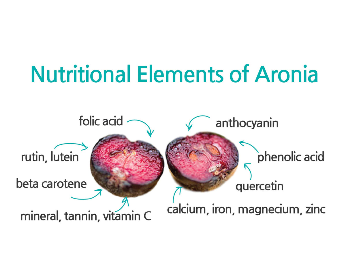 Measuring spoon with JustNature Aronia concentrate.