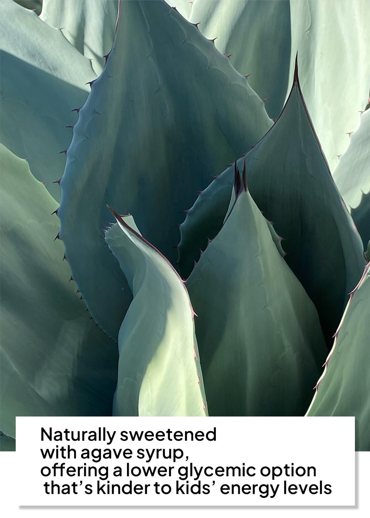 Naturally sweetened with agave and fruit concentrate for gentle flavor.