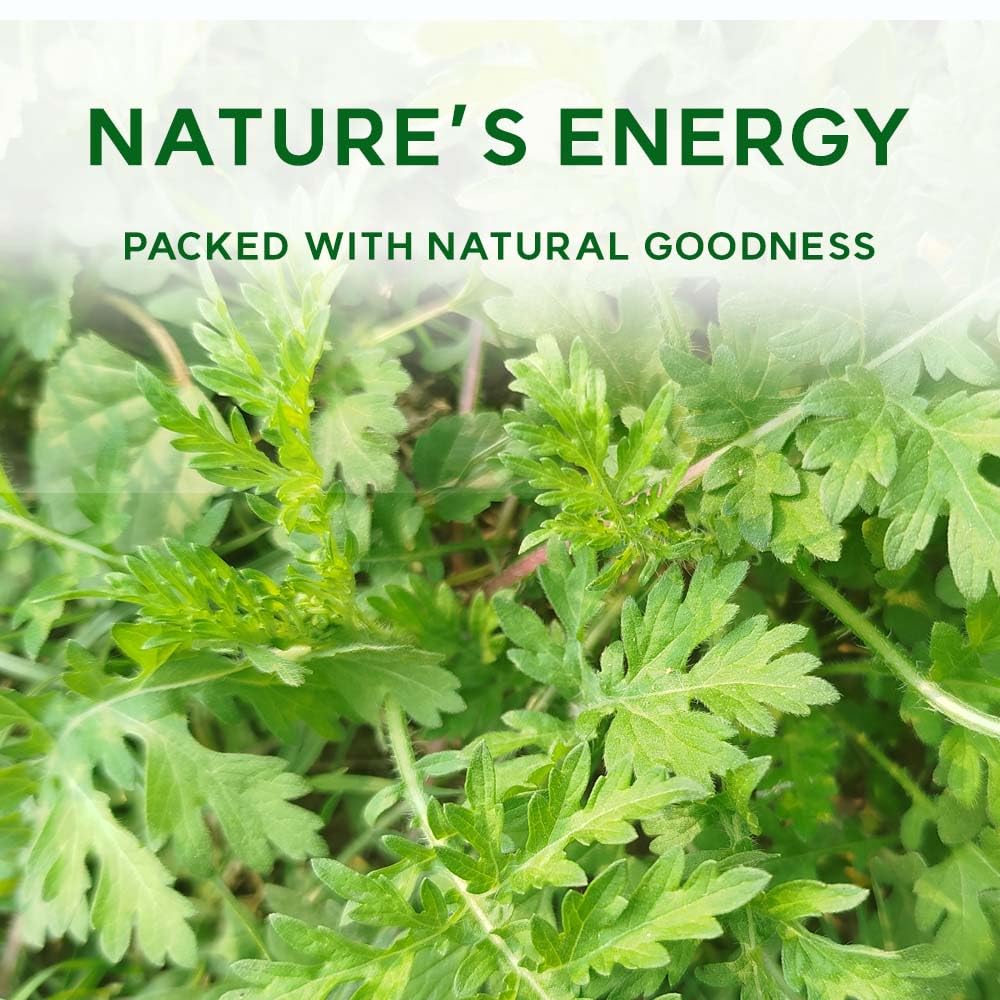 K-Herb Korean mugwort powder packaging closeup highlighting natural dried herb quality.