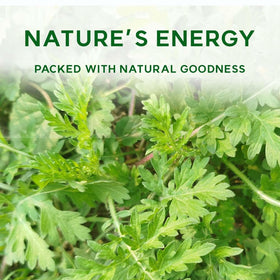 K-Herb Korean mugwort powder packaging closeup highlighting natural dried herb quality.