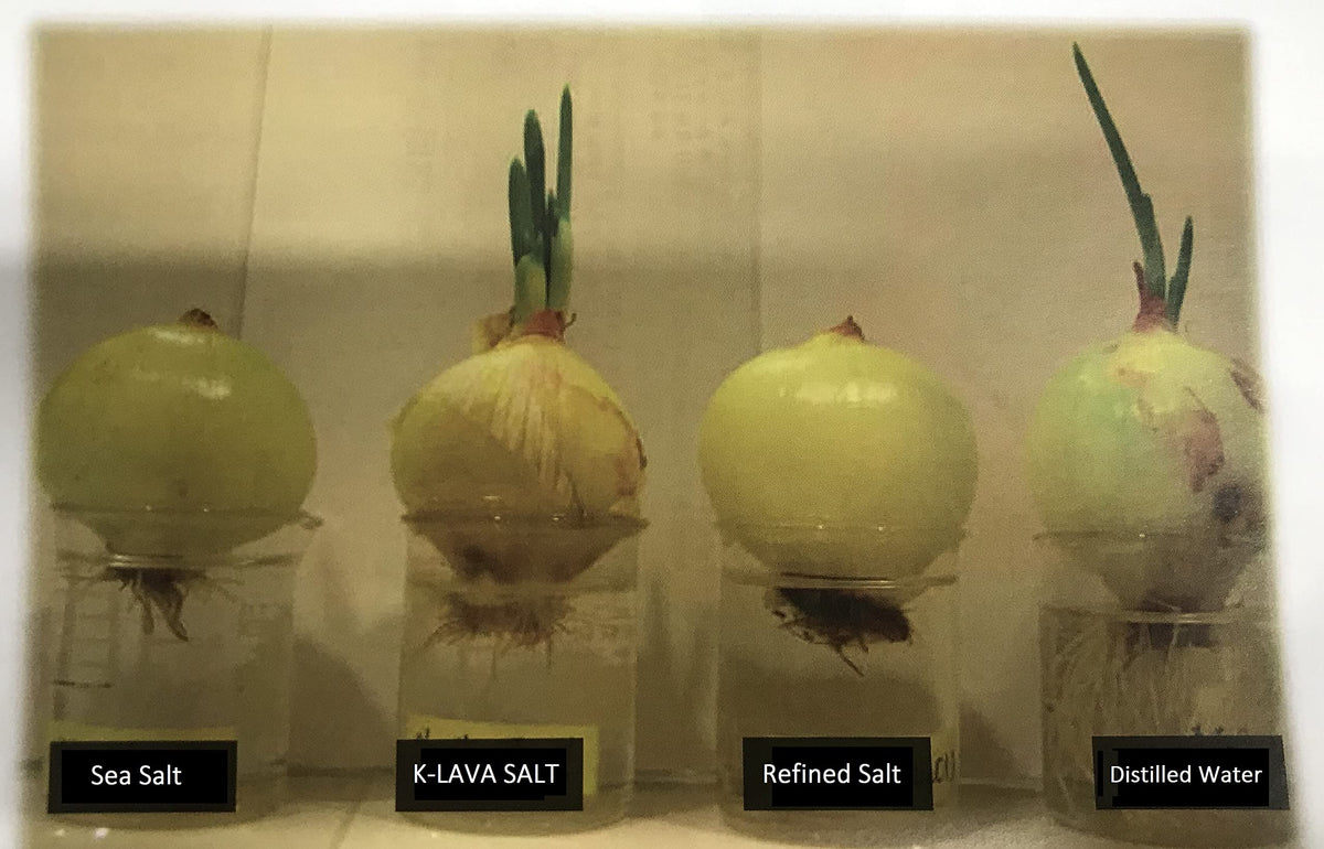 K-LAVA Salt kitchen use image invites everyday cooking enhancement with minerals.