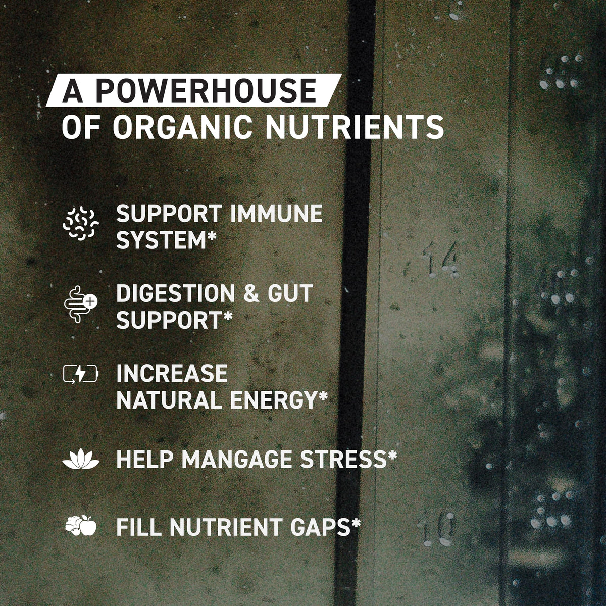 Close-up of ingredients showing 26 fruits and vegetables in Kaged Greens Powder.
