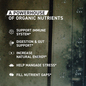 Close-up of ingredients showing 26 fruits and vegetables in Kaged Greens Powder.