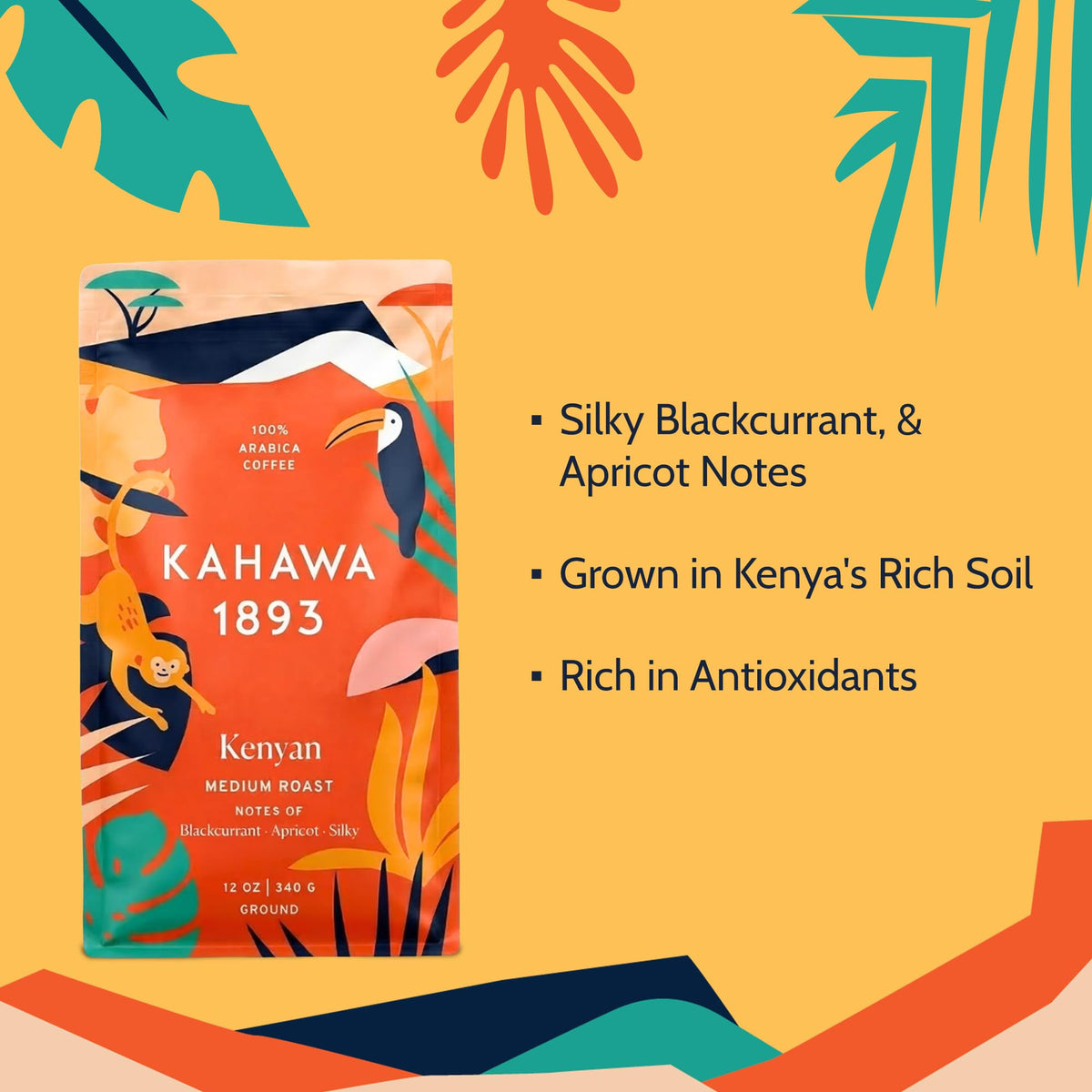 Kahawa 1893 medium roast cup showing smooth, balanced flavor.