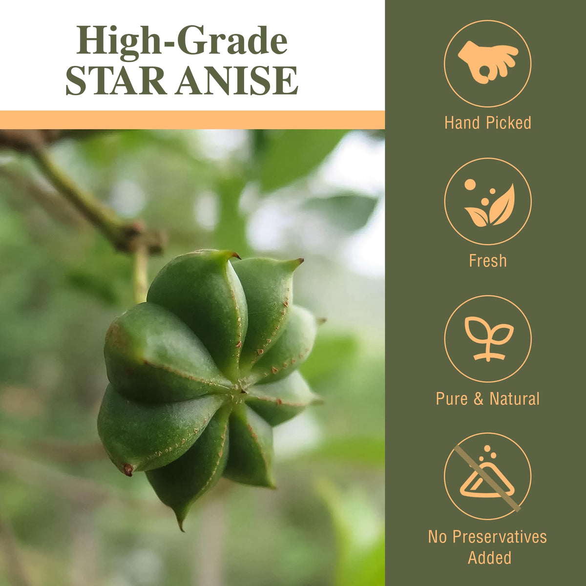 Kah's Journey star anise aroma closeup showing warm licorice fragrance