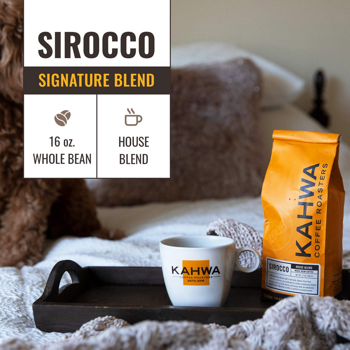 Kahwa Sirocco coffee beans close-up premium Arabica blend from diverse origins