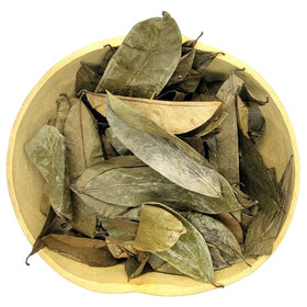 Kans Soursop brewed tea in cup for comforting ritual.
