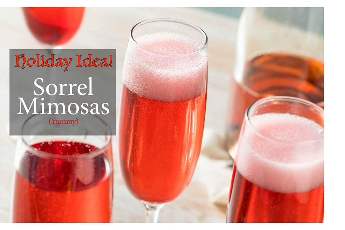 KARIBBEAN FLAVOURS sorrel hibiscus concentrate label highlighting premium ingredients and shelf-stable convenience.