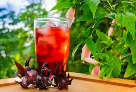 KARIBBEAN FLAVOURS sorrel hibiscus concentrate being poured to reveal tart cranberry-like notes.