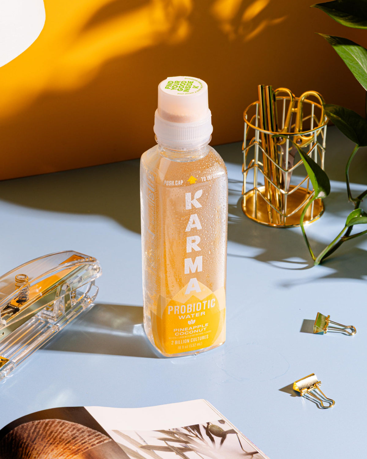 Karma Probiotic Water 12-pack packaging ideal for on-the-go refreshment
