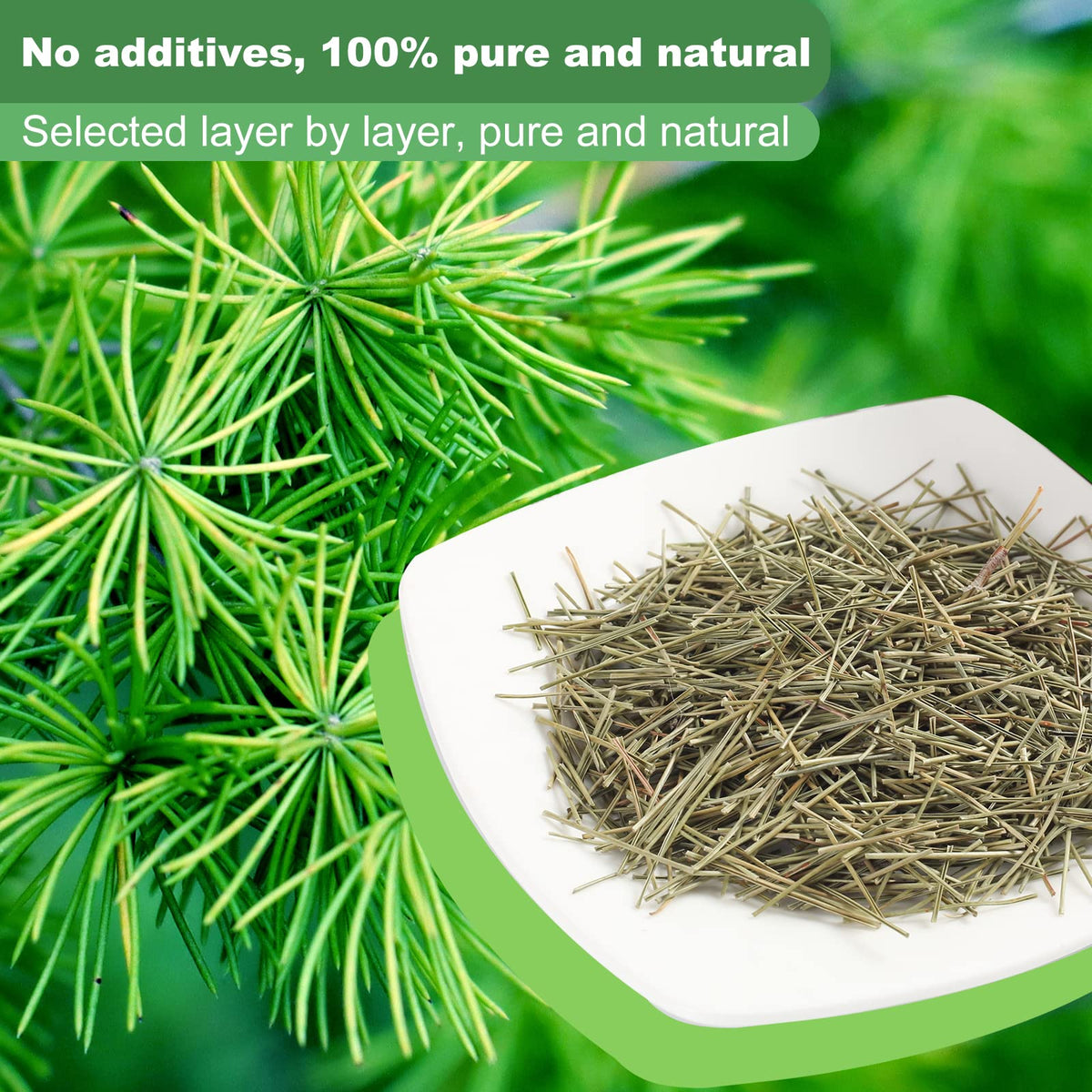 Kasvan organic pine needle tea bags ready to brew for a convenient daily ritual.