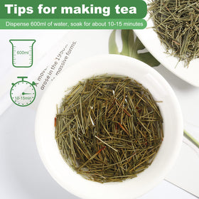 Kasvan organic pine needle tea gift jar on display for gifting.