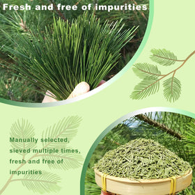 Kasvan pine needle tea brew in cup releasing amber aroma and gentle taste.