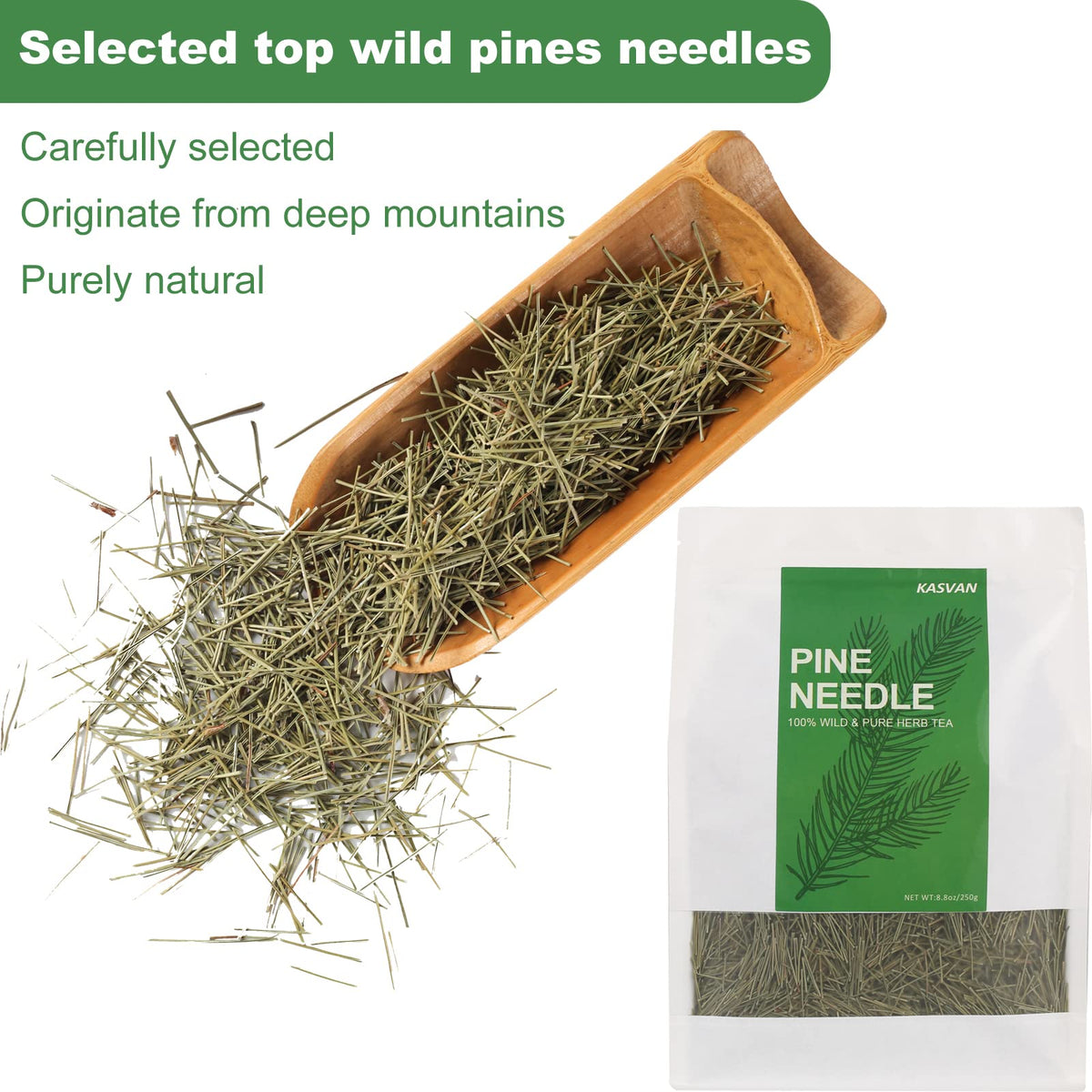Kasvan pine needle tea leaves close-up highlighting fresh green needles from mountains.