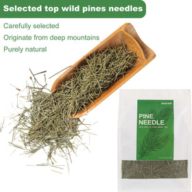 Kasvan pine needle tea leaves close-up highlighting fresh green needles from mountains.